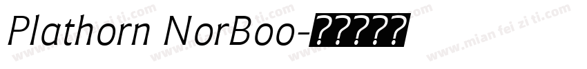 Plathorn NorBoo字体转换